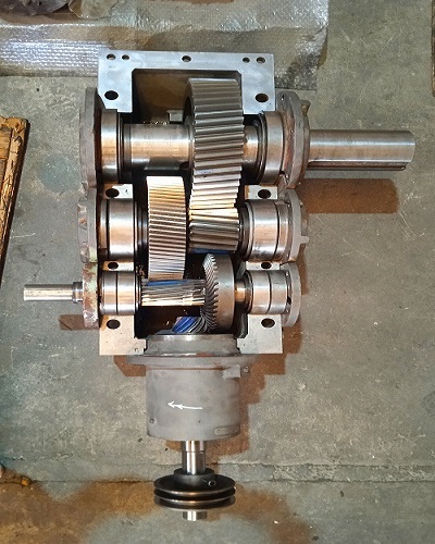 کرال جیربوکس