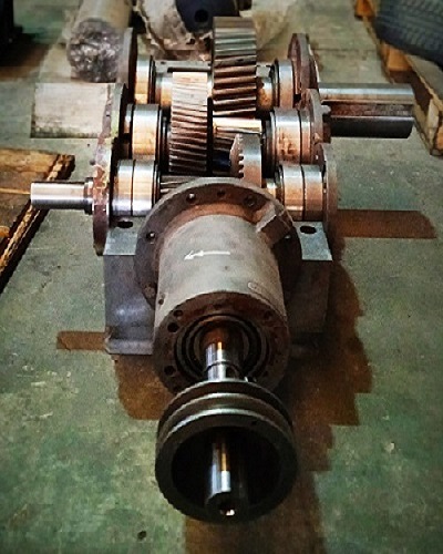 کرال جیربوکس